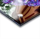 Bufo Alvarius - Sonoran Desert Toad Acrylic print