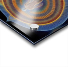 Farewells Acrylic print