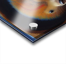 middleschool18 Acrylic print