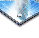 middleschool44 Acrylic print