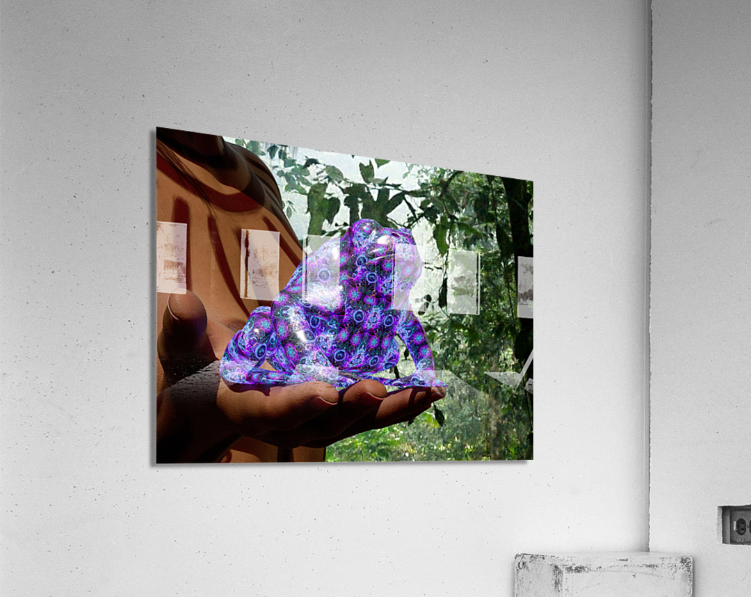 Bufo Alvarius - Sonoran Desert Toad Acrylic Print