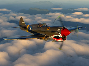 Curtiss P-40 Warhawk Color