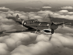 Curtiss P-40 Warhawk BW
