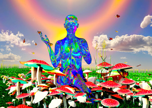 Magic  psychedelic psychoactive psilocybin mushrooms