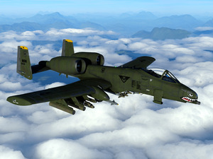 A-10 Thunderbolt II Warthog