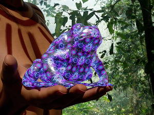 Bufo Alvarius - Sonoran Desert Toad