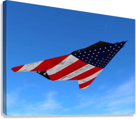 Lockheed F-117 Nighthawk Canvas Print