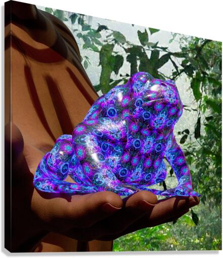 Bufo Alvarius - Sonoran Desert Toad Canvas Print