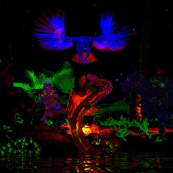 Ayahuasca - Masculine and Feminine Energy Enhanced