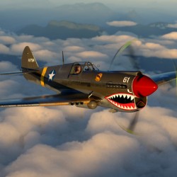 Curtiss P-40 Warhawk Color