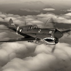 Curtiss P-40 Warhawk BW