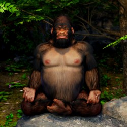 Yo-Gorilla - Transitioning through Meditation