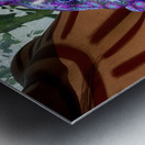 Bufo Alvarius - Sonoran Desert Toad Metal print