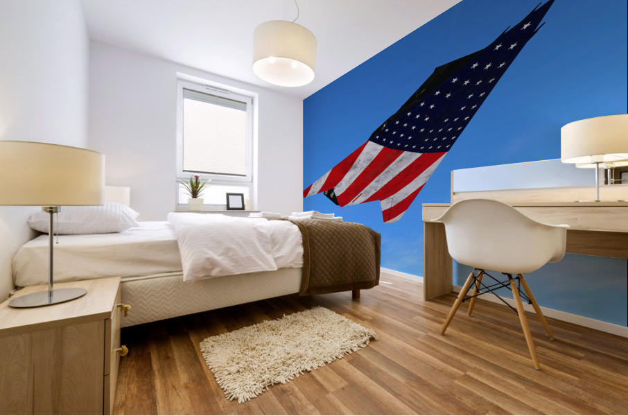 Lockheed F-117 Nighthawk Mural print