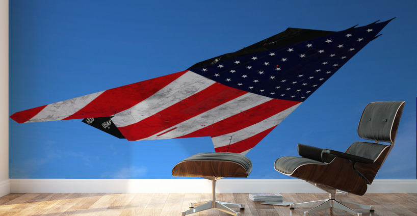 Lockheed F-117 Nighthawk Wall Murals