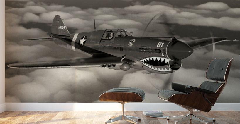 Curtiss P-40 Warhawk BW Wall Murals