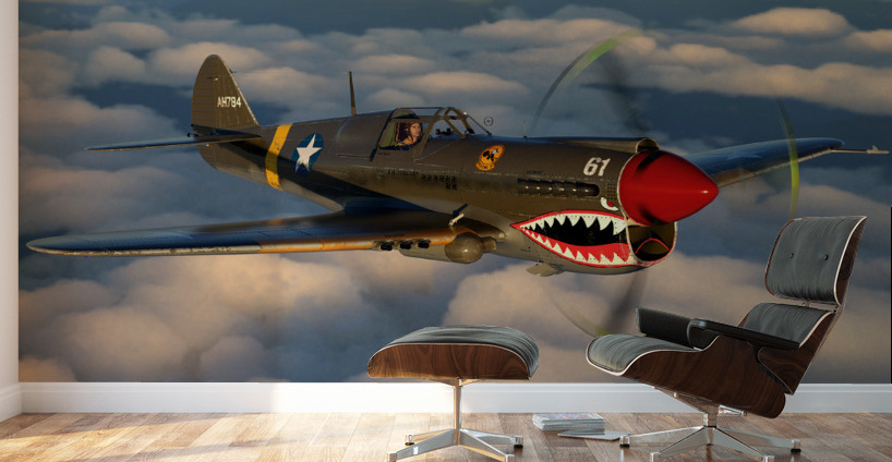 Curtiss P-40 Warhawk Color Wall Murals
