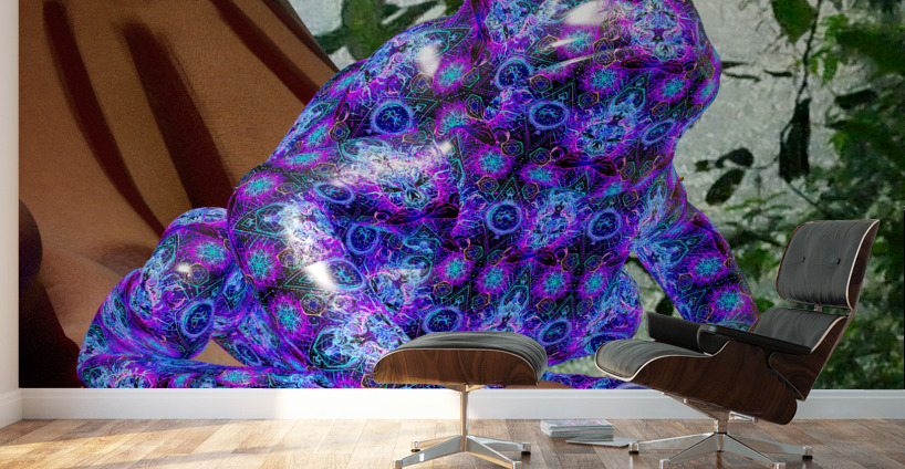 Bufo Alvarius - Sonoran Desert Toad Wall Murals