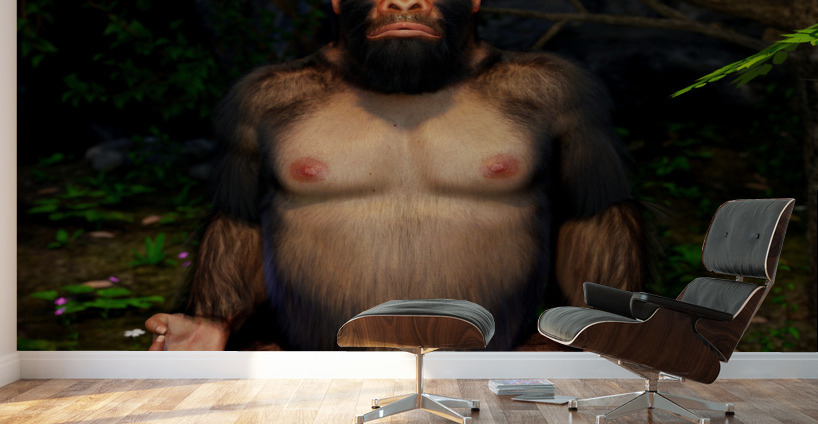 Yo-Gorilla - Transitioning through Meditation Wall Murals