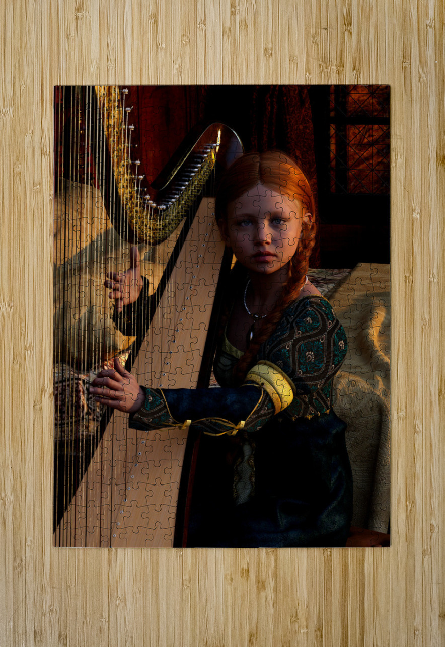 Serenade of the Celtic Harpist  Kevin Michael VerKamp Puzzle printing