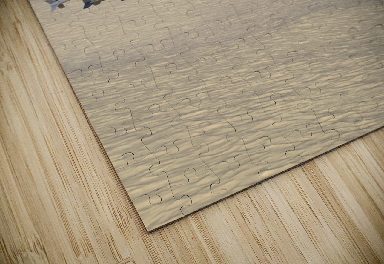 Sukhoi Su-47 Berkut Kevin Michael VerKamp Puzzle