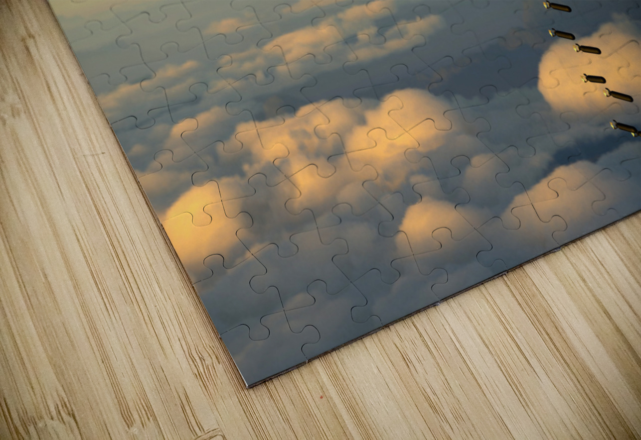 Boeing B-17 Flying Fortress Bomb Drop 2 color Kevin Michael VerKamp Puzzle