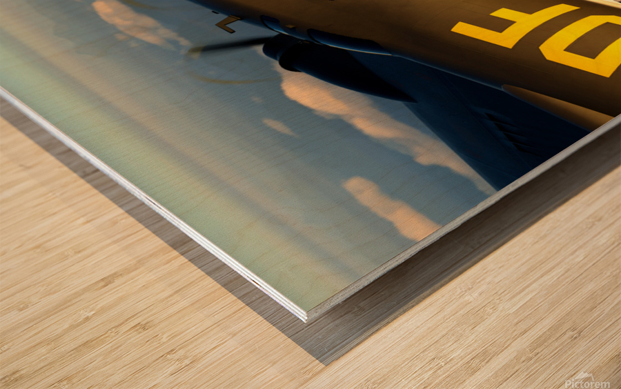 Boeing B-17 Flying Fortress Color Wood print