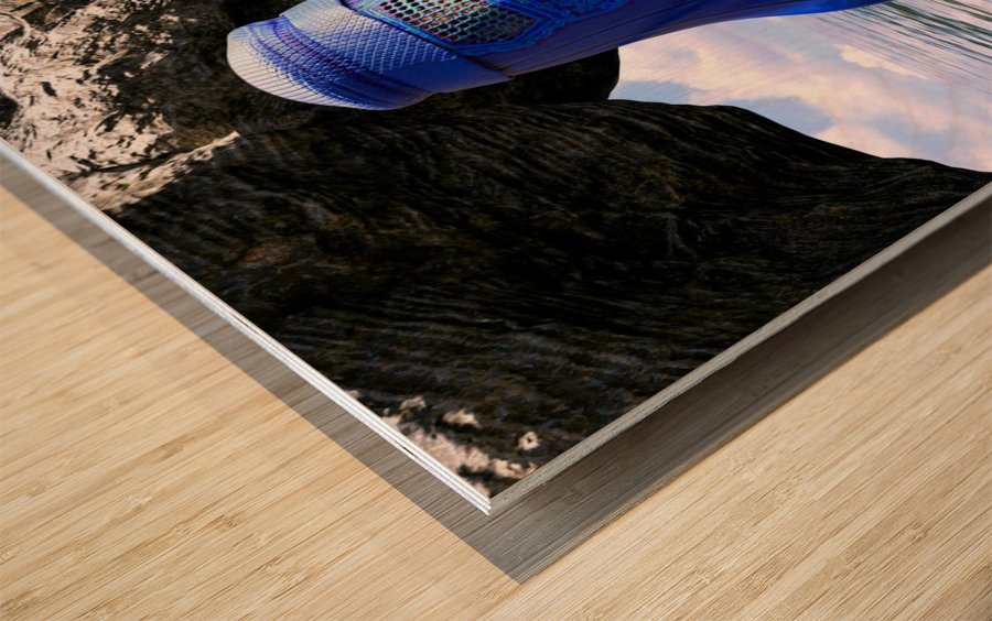 Burqa - Censorship or Beauty Wood print