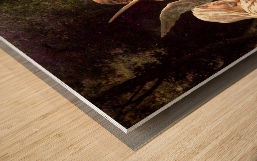 Song of the Angels - William Adolphe Bouguereau - La Vierge aux anges Wood print